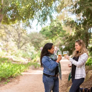 2017 Santa Barbara Beer Garden Event