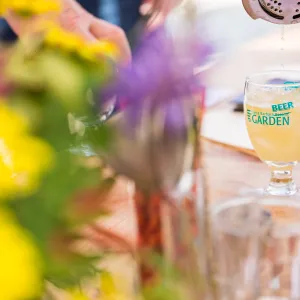 2017 Santa Barbara Beer Garden Event