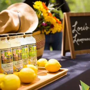 2017 Santa Barbara Beer Garden Event