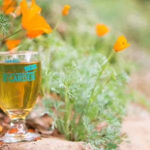 2017 Santa Barbara Beer Garden Event