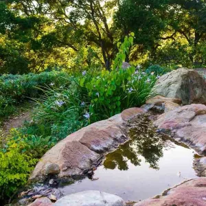 Water-filled rock