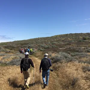 Santa Rosa Island Trip, group hiking to Carrington Point