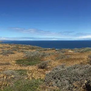 Santa Rosa Island Trip, Looking out towards San Miguel Island and mainland, Nancy Deacon-Davis, hiking to Carrington Point
