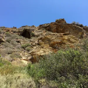 Santa Rosa Island Trip, Lobo Canyon