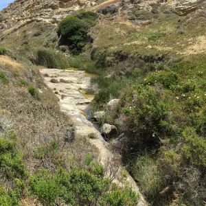 Santa Rosa Island Trip, Lobo Canyon