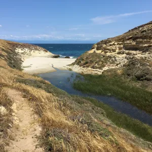 Santa Rosa Island Trip, Lobo Canyon