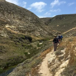Santa Rosa Island Trip, Group hiking in Lobo Canyon