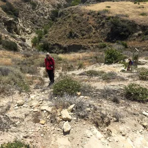 Santa Rosa Island Trip, Nancy Deacon-Davis among Santa Cruz Island Buckwheat (Eriogonum Arborescens)