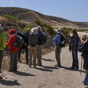 Santa Rosa Island Trip, Group hiking along Coastal Road