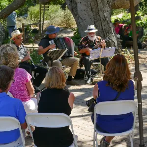 Free Seniors Day with music by Long Gone Daddies
