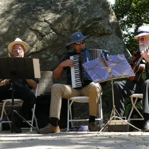 Free Seniors Day with music by Long Gone Daddies
