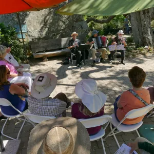 Free Seniors Day with music by Long Gone Daddies