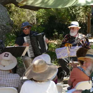 Free Seniors Day with music by Long Gone Daddies