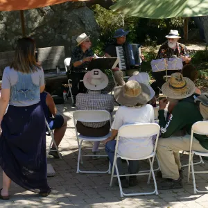 Free Seniors Day with music by Long Gone Daddies