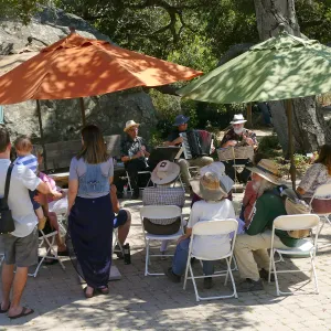 Free Seniors Day with music by Long Gone Daddies