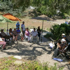Free Seniors Day with music by Long Gone Daddies