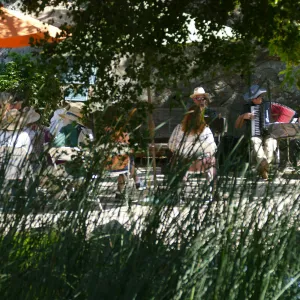 Free Seniors Day with music by Long Gone Daddies