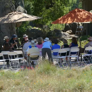 Free Seniors Day with music by Long Gone Daddies