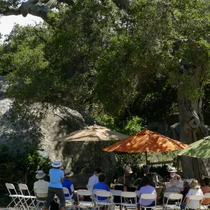 Free Seniors Day with music by Long Gone Daddies