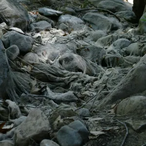 Ghost creek, lower creek crossing
