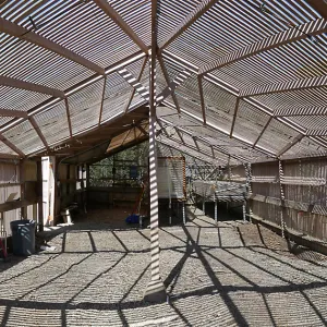 Garden Growers Lath House before start of repairs. Interior panorama from center of east wall