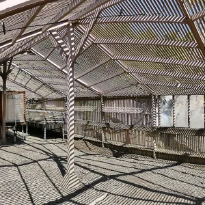 Garden Growers Lath House before start of repairs. Panarama of interior from southeast corner.