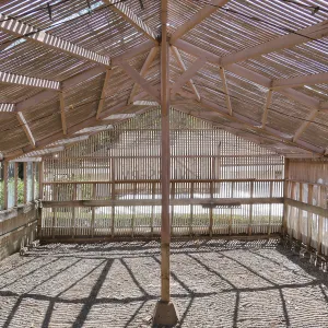 Garden Growers Lath House before start of repairs. Interior looking east.