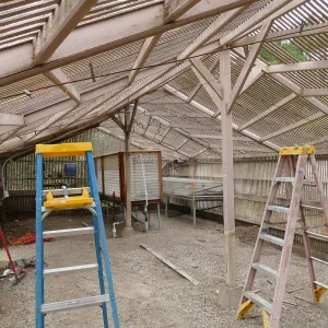 Garden Growers Lath House at start of repairs. Interior looking northwest from southeast corner.