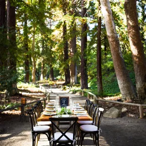 Garden to Table Dinner in the Redwoods 2017