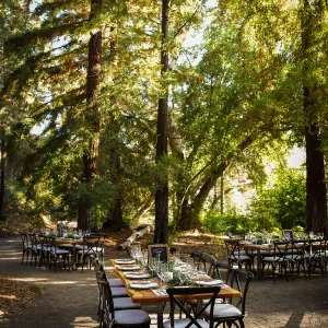 Garden to Table Dinner in the Redwoods 2017