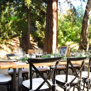 Garden to Table Dinner in the Redwoods 2017