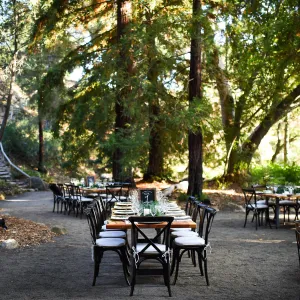 Garden to Table Dinner in the Redwoods 2017