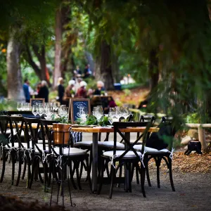 Garden to Table Dinner in the Redwoods 2017