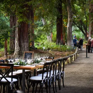 Garden to Table Dinner in the Redwoods 2017