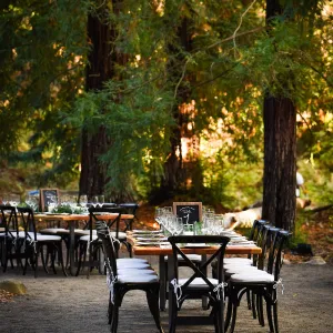 Garden to Table Dinner in the Redwoods 2017