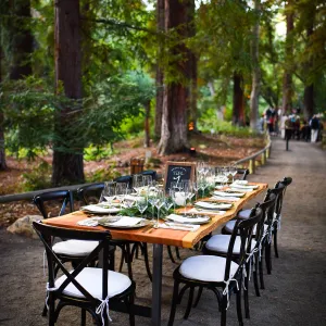 Garden to Table Dinner in the Redwoods 2017