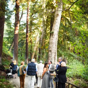Garden to Table Dinner in the Redwoods 2017