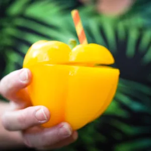 Garden to Table Dinner in the Redwoods 2017, Garden Apertif