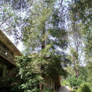 Looking from Arroyo Section to south side of North Wing