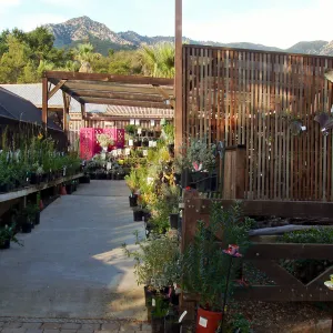 Garden Growers Nursery