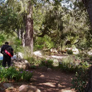 Manzanita Section