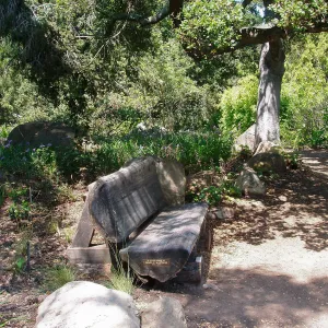 Manzanita Section
