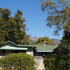 South side of Cottage