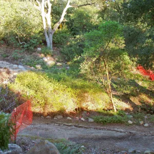 Discovery Garden construction