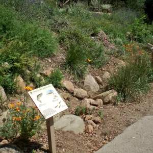 Discovery Garden