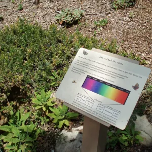 Discovery Garden