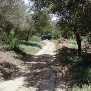 Service road between Gane House and Hansen site