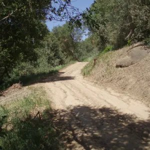 Service road between Gane House and Hansen site