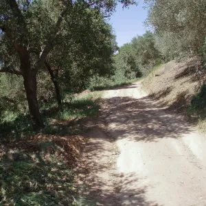 Service road between Gane House and Hansen site