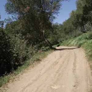 Service road between Gane House and Hansen site